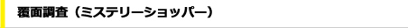 覆面調査（ミステリーショッパー）